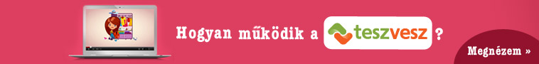 Hogyan m�k�dik a TeszVesz?