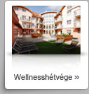 Wellnessh�tv�ge